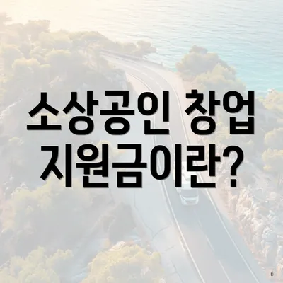 소상공인 창업 지원금이란?