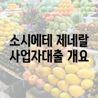 소시에테 제네랄 사업자대출 개요