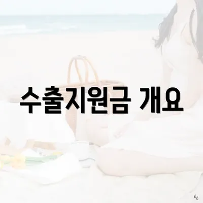 수출지원금 개요