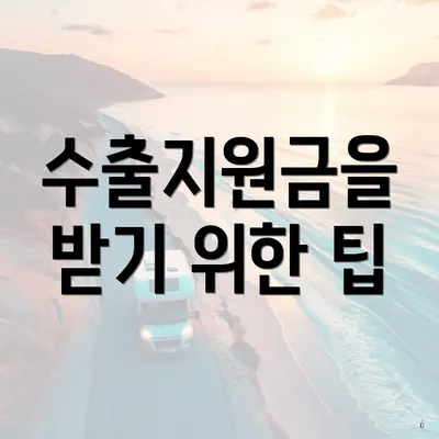 수출지원금을 받기 위한 팁