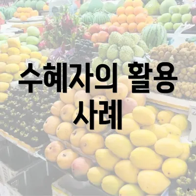 수혜자의 활용 사례