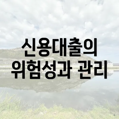 신용대출의 위험성과 관리
