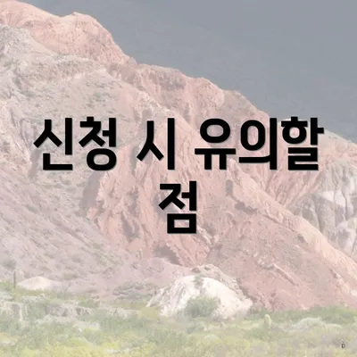신청 시 유의할 점