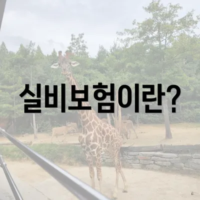 실비보험이란?