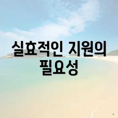 실효적인 지원의 필요성
