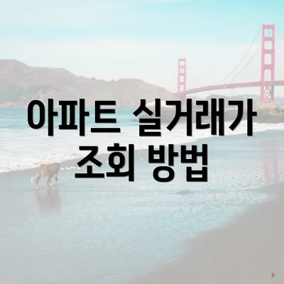아파트 실거래가 조회 방법