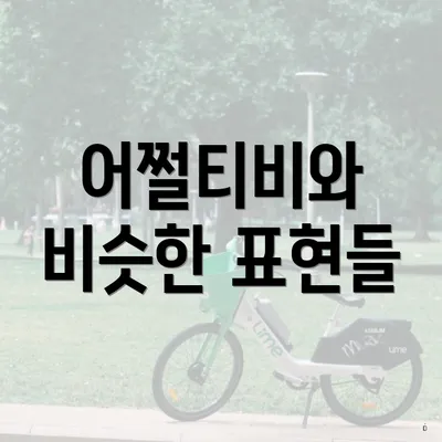 어쩔티비와 비슷한 표현들