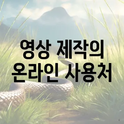 영상 제작의 온라인 사용처