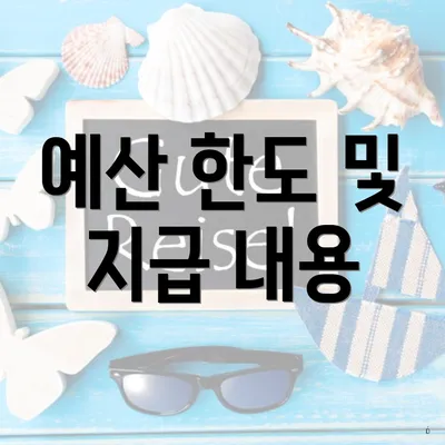 예산 한도 및 지급 내용