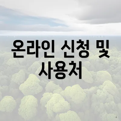온라인 신청 및 사용처