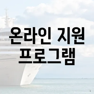 온라인 지원 프로그램