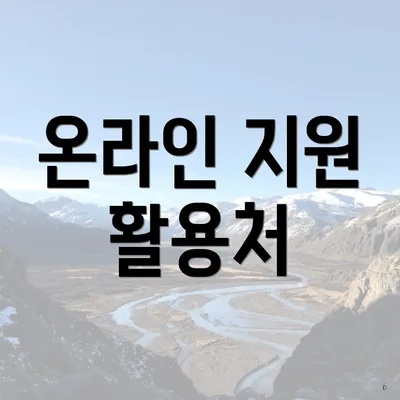 온라인 지원 활용처