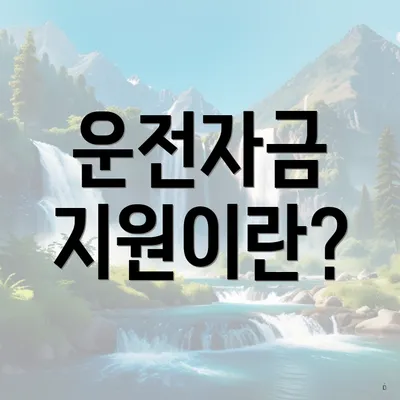 운전자금 지원이란?