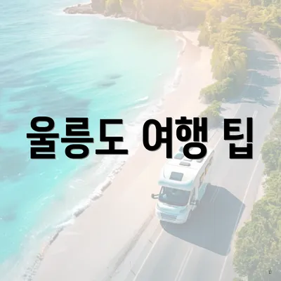 울릉도 여행 팁