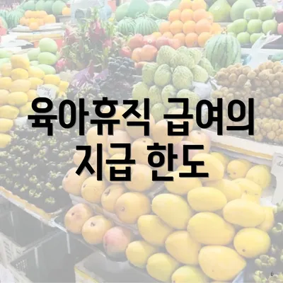 육아휴직 급여의 지급 한도