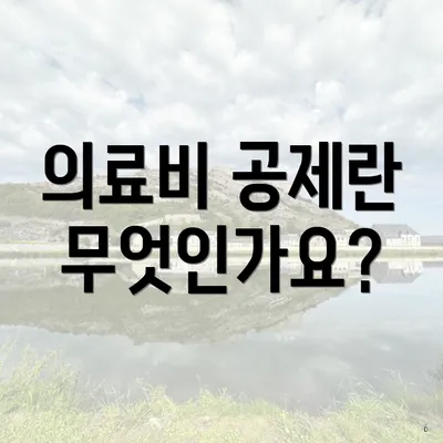 의료비 공제란 무엇인가요?