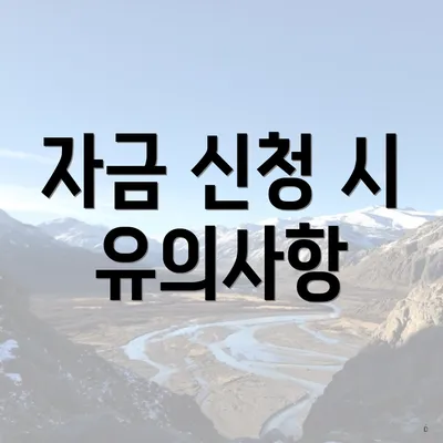 자금 신청 시 유의사항