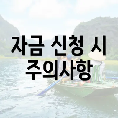 자금 신청 시 주의사항