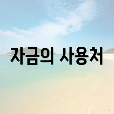 자금의 사용처