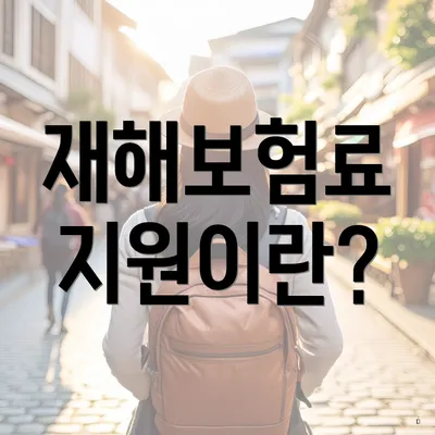 재해보험료 지원이란?