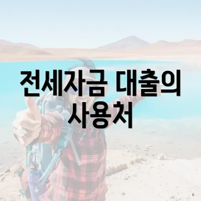전세자금 대출의 사용처