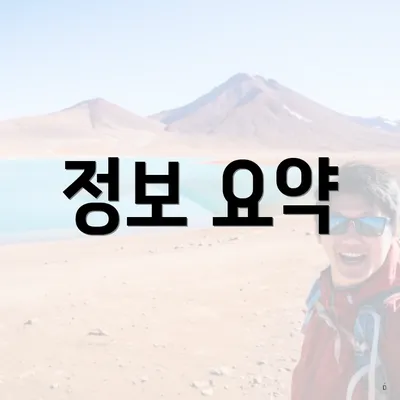 정보 요약