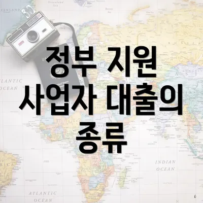 정부 지원 사업자 대출의 종류