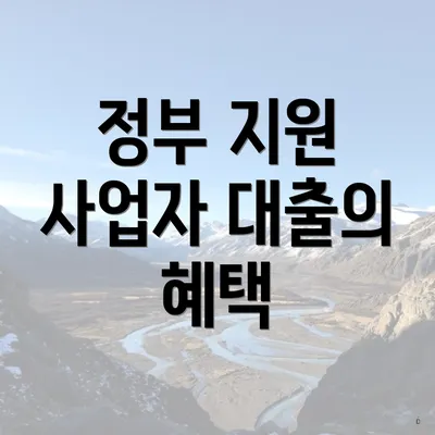 정부 지원 사업자 대출의 혜택