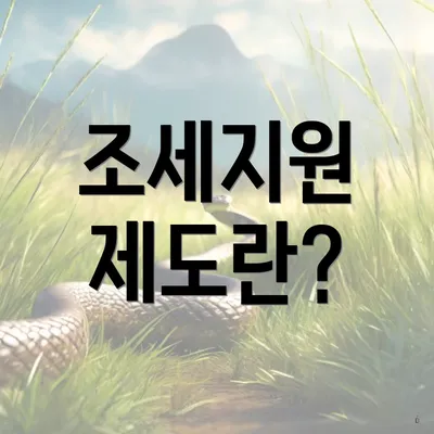 조세지원 제도란?