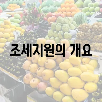 조세지원의 개요
