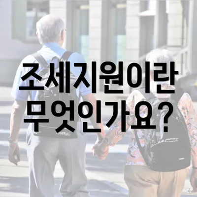 조세지원이란 무엇인가요?