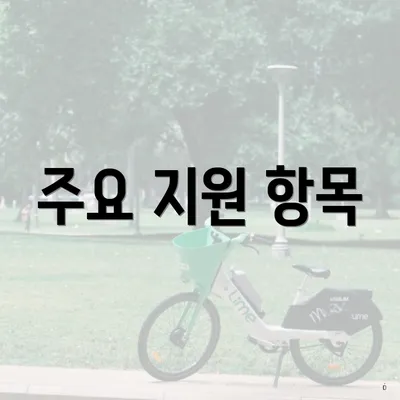 주요 지원 항목