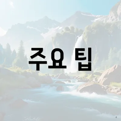 주요 팁