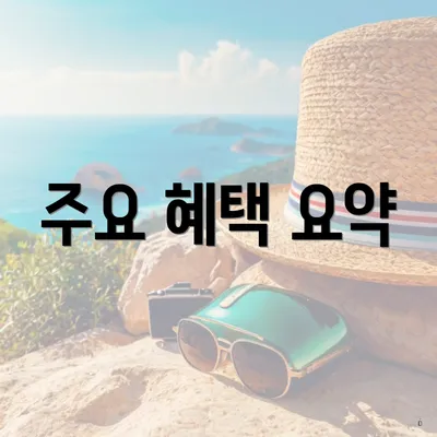 주요 혜택 요약