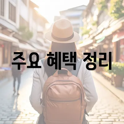주요 혜택 정리