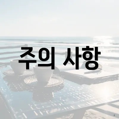 주의 사항