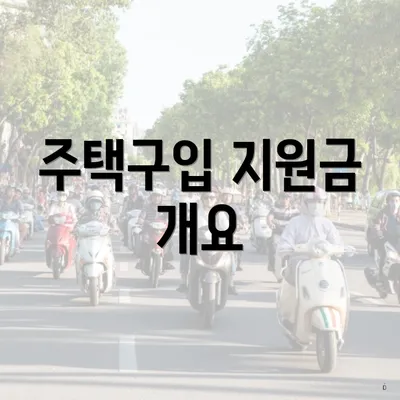주택구입 지원금 개요