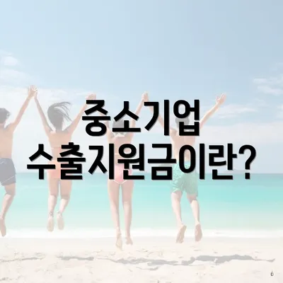 중소기업 수출지원금이란?
