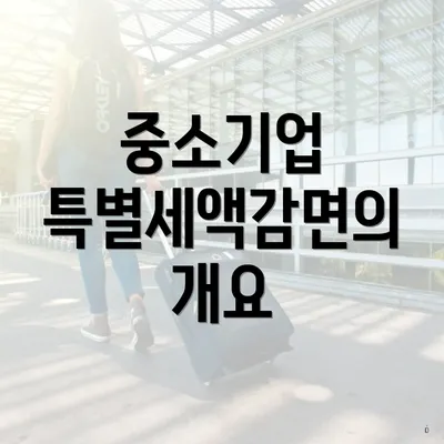 중소기업 특별세액감면의 개요