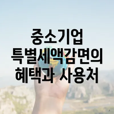 중소기업 특별세액감면의 혜택과 사용처