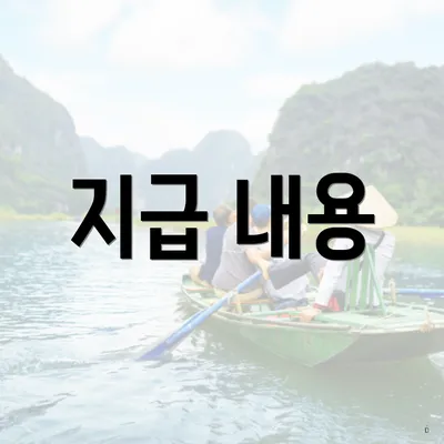 지급 내용
