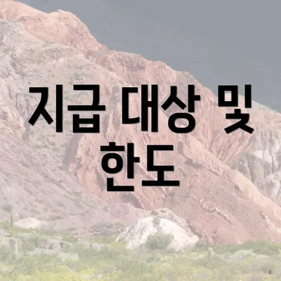 지급 대상 및 한도