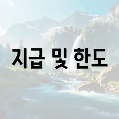 지급 및 한도