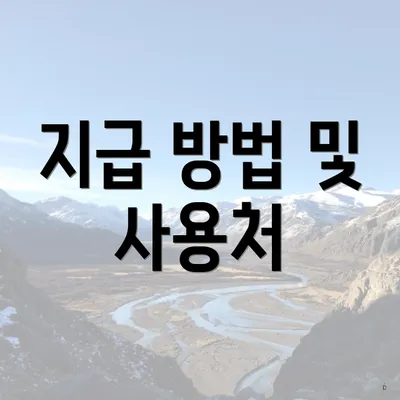 지급 방법 및 사용처