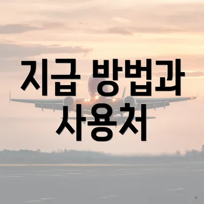 지급 방법과 사용처