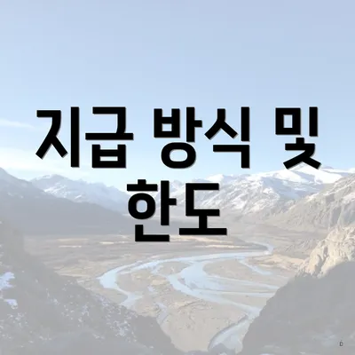 지급 방식 및 한도