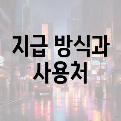 지급 방식과 사용처