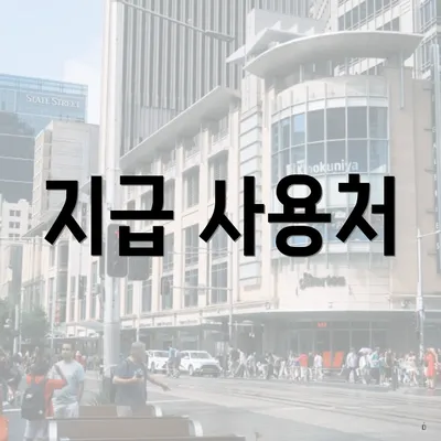 지급 사용처