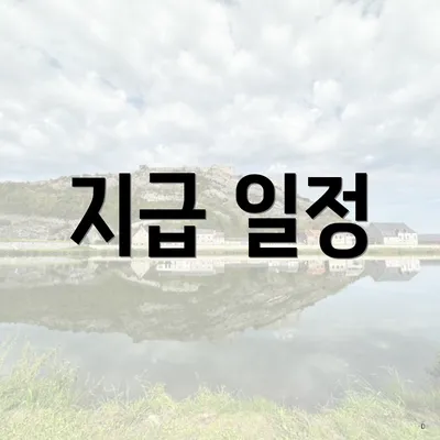 지급 일정