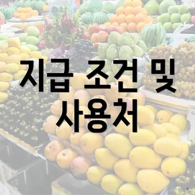 지급 조건 및 사용처
